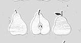 Un hogar en la cocina. Historias y recetas