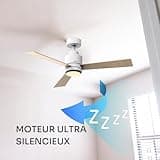 Mellerware - Ventilateur de plafond extérieur avec lumière Brizy Bright Outdoor 45 W | IP24 | Ultra silencieux | 6 vitesses | fonction été/hiver | 3 pales | minuterie | LED | télécommande