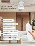 AUTODAY Wooden Ceiling Fan with Lighting, Remote Control with Memory Function, Quiet DC Motor 30W, Diameter 102 cm Ceiling Fan Outdoor, Dimmable LED 24W, 3 Reversible Blades, 6 Speeds, Minuteur