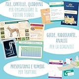 Amulette - Se Fossi Il Veterinario - Gioco Educativo da 6 a 10 Anni - 70+ Accessori per la Cura Degli Animali - Kit Veterinario - Regalo per Bambini e Bambine - VETIT